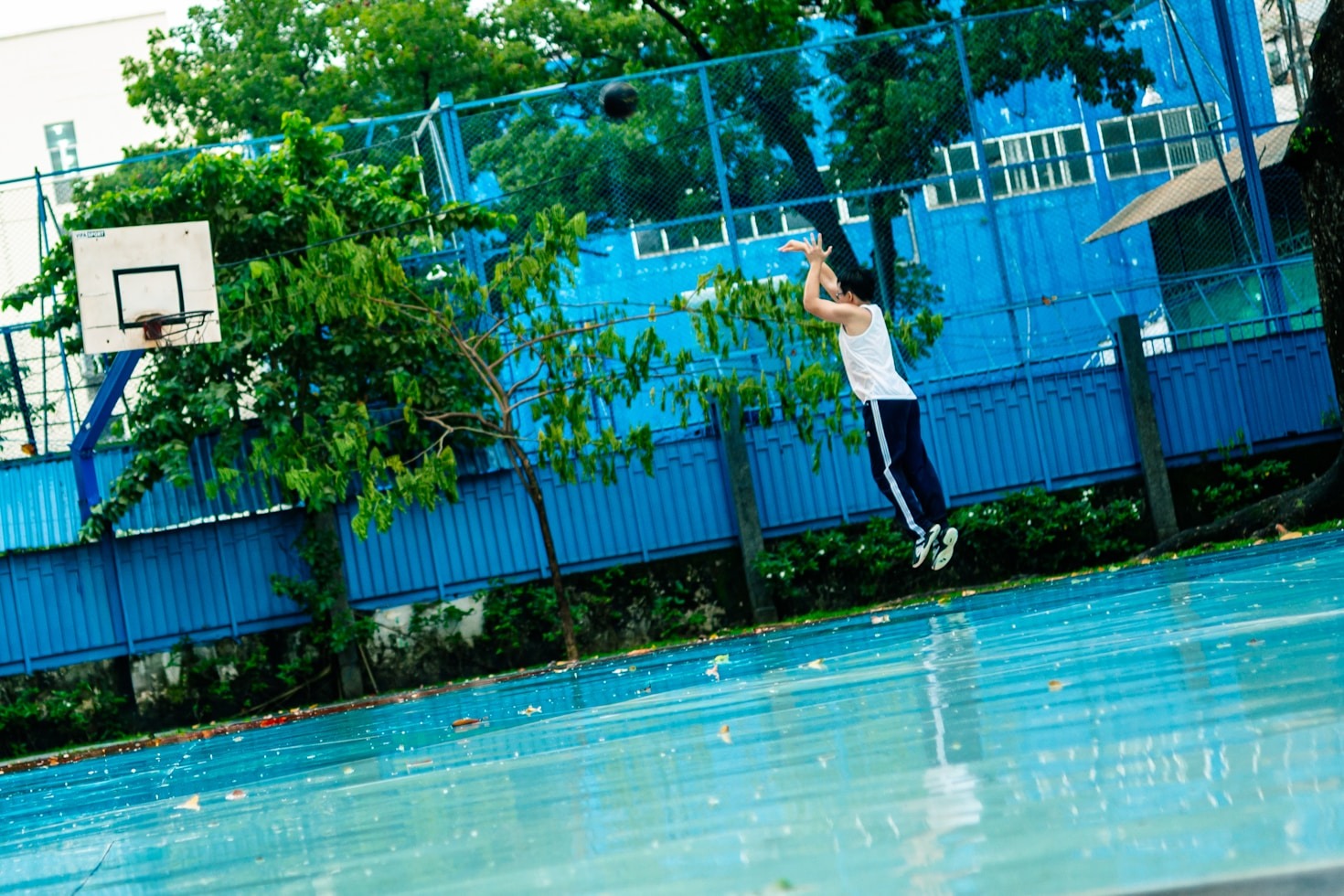 Exploring the Exclusive Benefits of Reddy Anna VIP